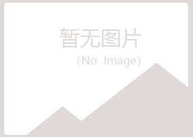 白银平川凌雪咨询有限公司